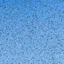A dense flock of starlings filling a blue sky, thousands of birds turning together