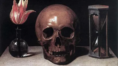A tulip, skull and hourglass in Philippe de Champaigne's Vanitas