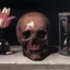A tulip, skull and hourglass in Philippe de Champaigne's Vanitas