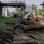 A derelict factory yard with rusted machinery and overgrown ground