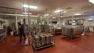 Stainless-steel tanks and pipes inside a modern dairy processing plant