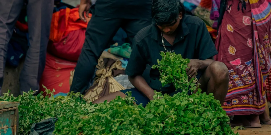 A vendor sorting fresh green leafy vegetables at an Indian market