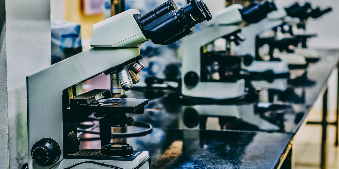 A row of microscopes on a laboratory bench