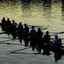 A rowing eight in silhouette on dark water, oars mid-stroke